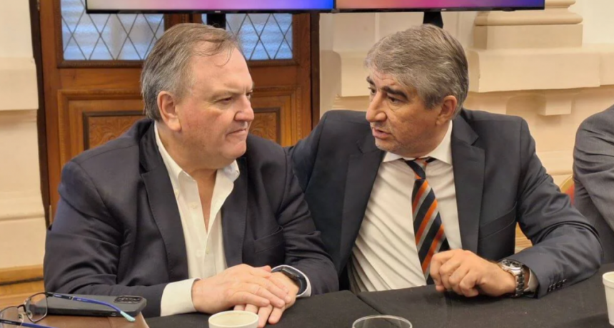 Michlig repudió la agresión al ministro Fabián Bastia y pidió su urgente esclarecimiento