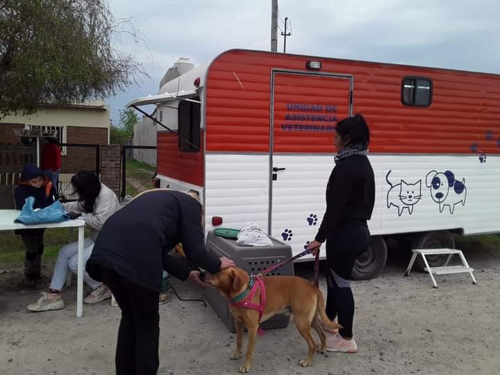 Más de 9.600 atenciones gratuitas a mascotas se realizaron en Sauce Viejo