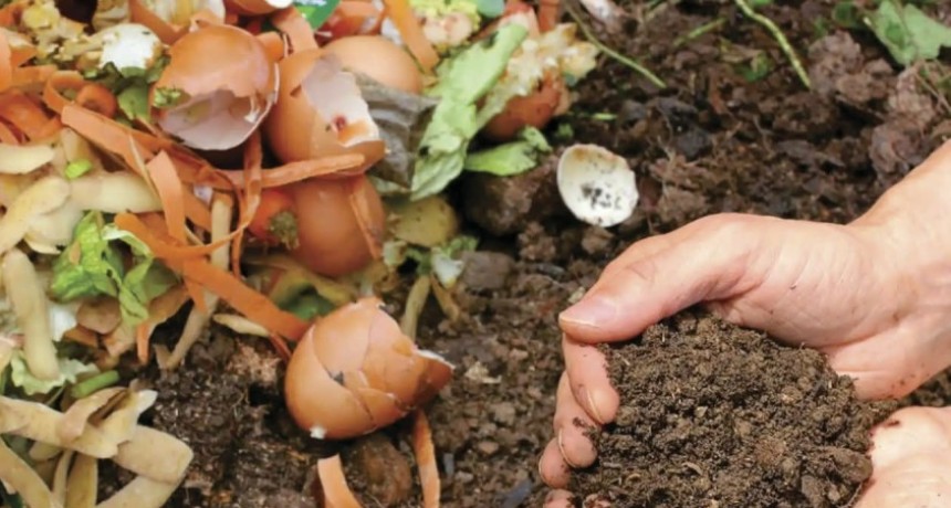 Santo Tom&eacute;: la Municipalidad invita a participar de los talleres de compostaje