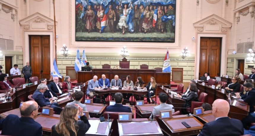 Puccini detall&oacute; a legisladores las gestiones por la concesi&oacute;n de la hidrov&iacute;a, puso foco en Rosario y adelant&oacute; el nuevo Puerto de Villa Ocampo