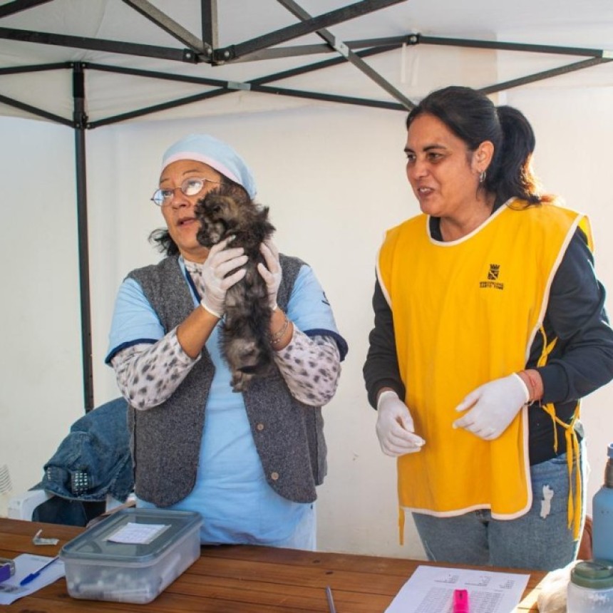 Santo Tom&eacute;: la Municipalidad realiz&oacute; un nuevo abordaje masivo de Protecci&oacute;n Animal en barrio Libertad