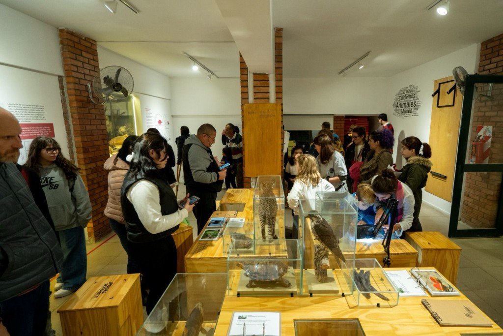 Provincia celebra el Día Internacional de los Museos con múltiples propuestas