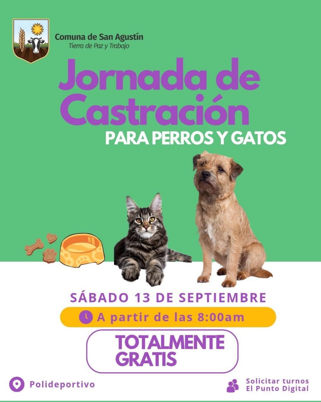Jornada de castraciones gratuitas para perros y gatos en San Agustín