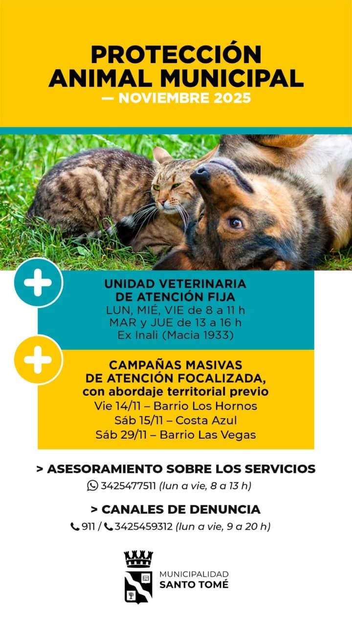 Protección Animal Municipal: información y servicios para el mes de noviembre en Santo Tomé