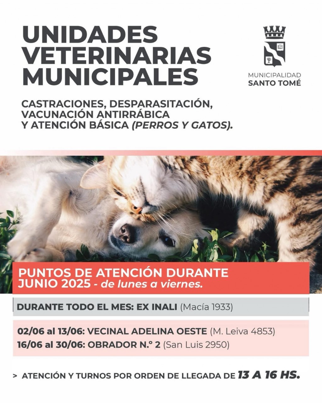 Atención veterinaria móvil: cronograma para el mes de junio en Santo Tomé