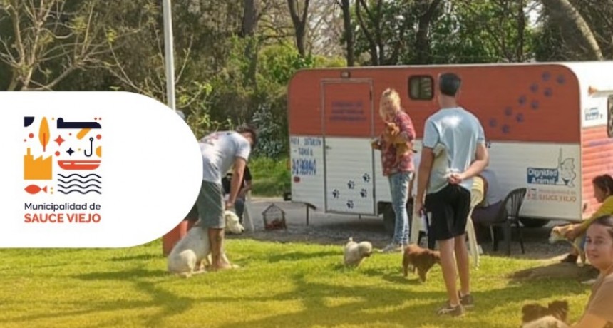 Sauce Viejo: “La Muni en tu Barrio” llega a Los Conquistadores con una nueva jornada de castraciones y vacunación