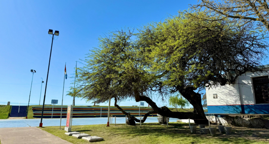 Santo Tomé conmemora el 215° aniversario del paso del General Belgrano