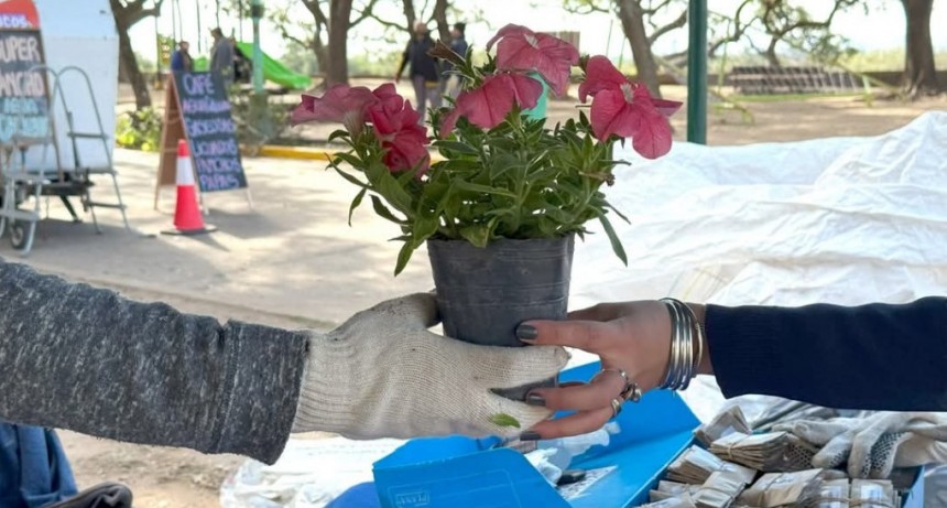 Eco Canje: Cronograma para el mes de octubre en Santo Tomé